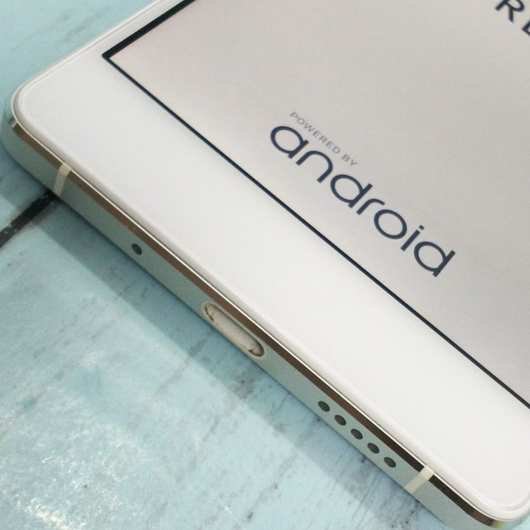 FREETEL RAIJIN �ۥ磻�� ���  203