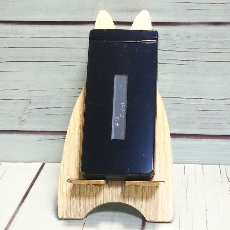 docomo SH-02L AQUOS SHARP �������� �֥�å�  256