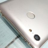 FREETEL RAIJIN �ۥ磻�� ���  537