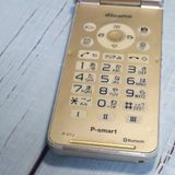 PANASONIC docomo P-smart �������� P-01J �������  619