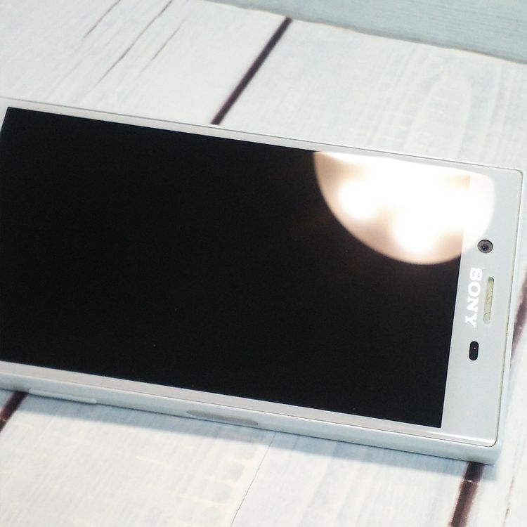 docomo Xperia X Compact SO-02J �ߥ��ȥ֥롼 [������]  059