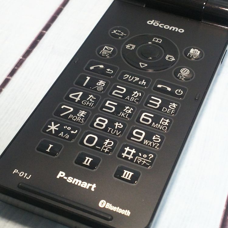 docomo Panasonic P-smart �������� P-01J �֥�å�  333