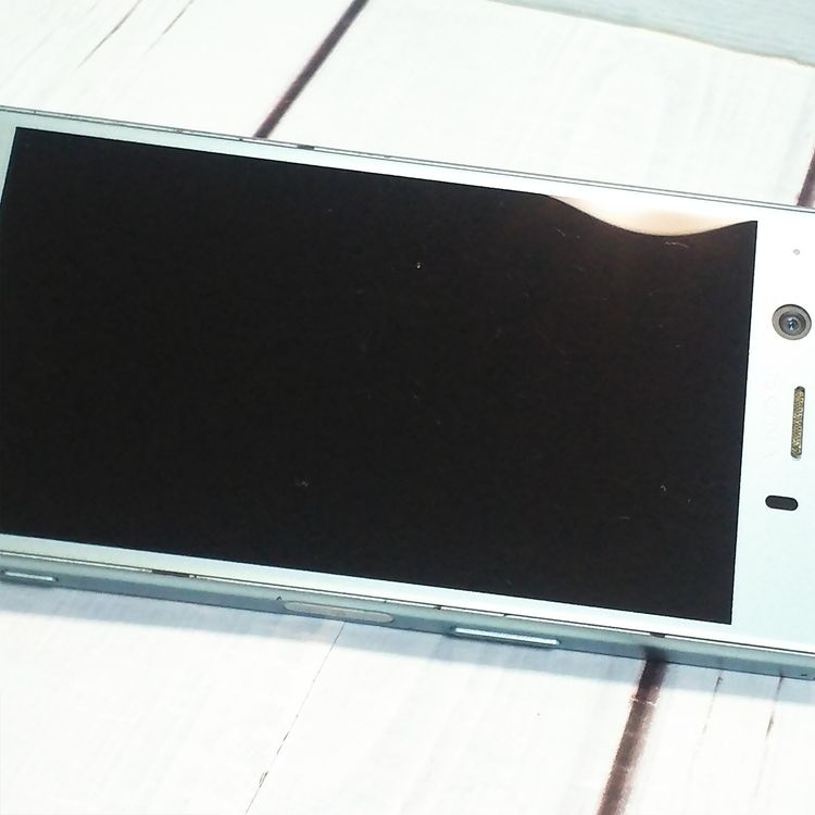 docomo Xperia XZ1 Compact SO-02K �֥롼  823