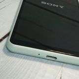 docomo Xperia 10 II SO-41A �ߥ�� [������]  509