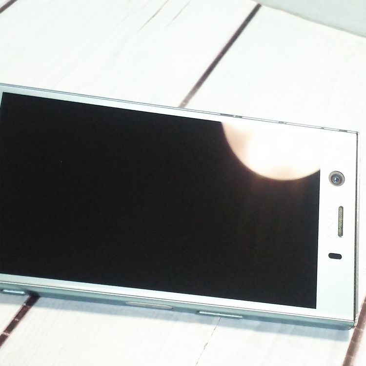 docomo Xperia XZ1 Compact SO-02K �֥롼  669