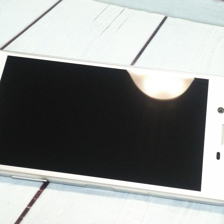 docomo Xperia X Performance SO-04H �ۥ磻�� ����С�  335