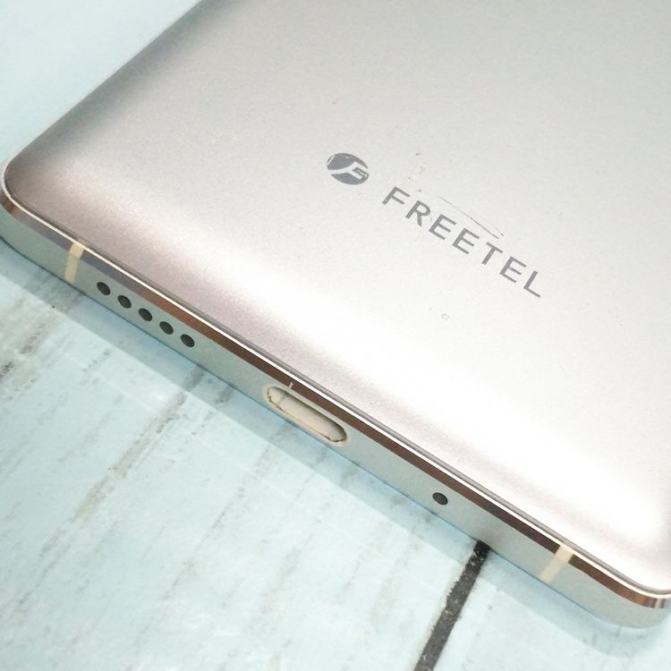 FREETEL RAIJIN �ۥ磻�� ���  745