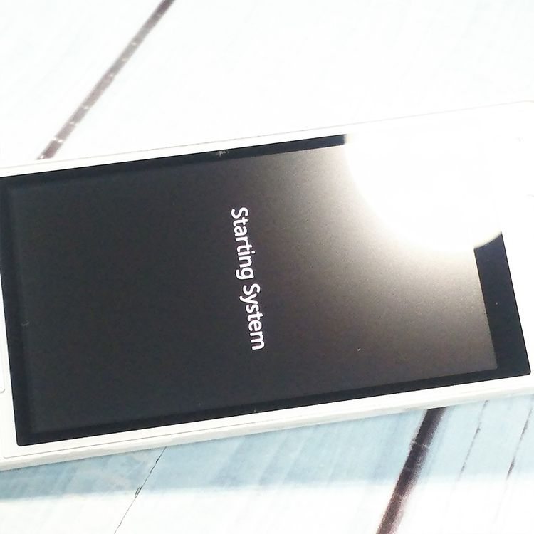 PANASONIC docomo P-smart �������� P-01J �ۥ磻��  271