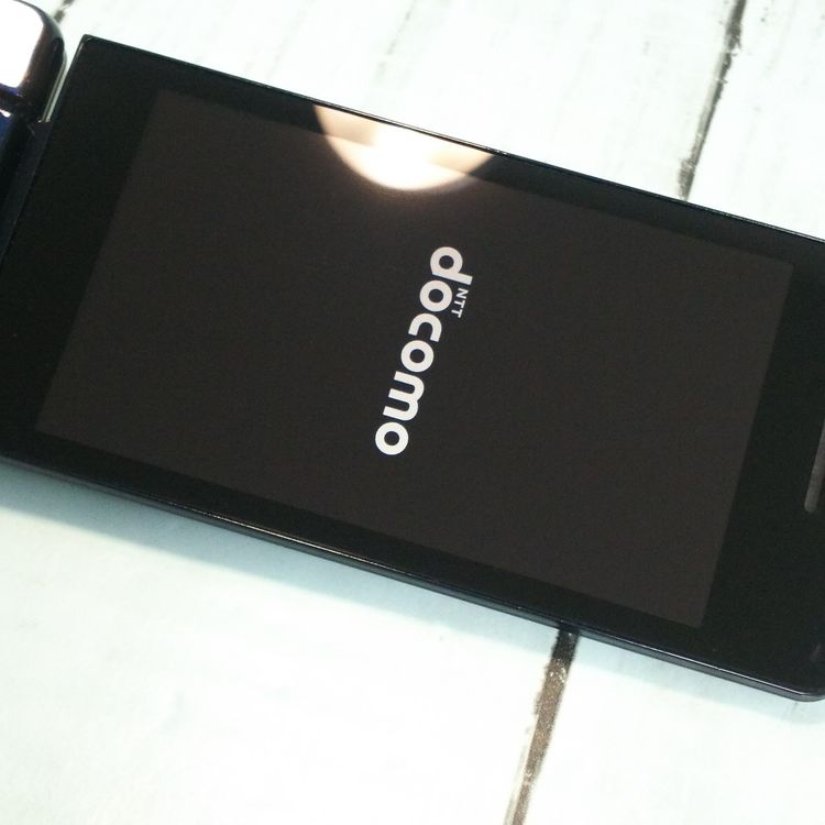 docomo SHARP SH-03L �֥�å� �ӥ��ͥ����� �����쥹��������  317