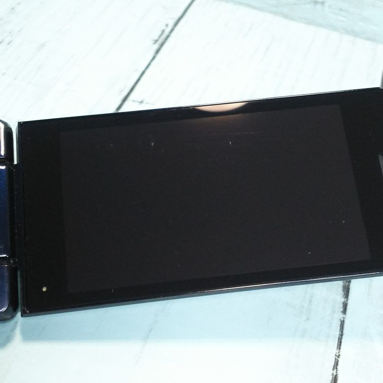 docomo SH-02L AQUOS SHARP �������� �֥�å�  197