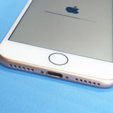 au iPhone8 64GB �������  665