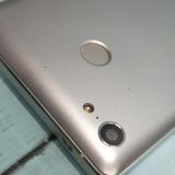 FREETEL RAIJIN �ۥ磻�� ���  903