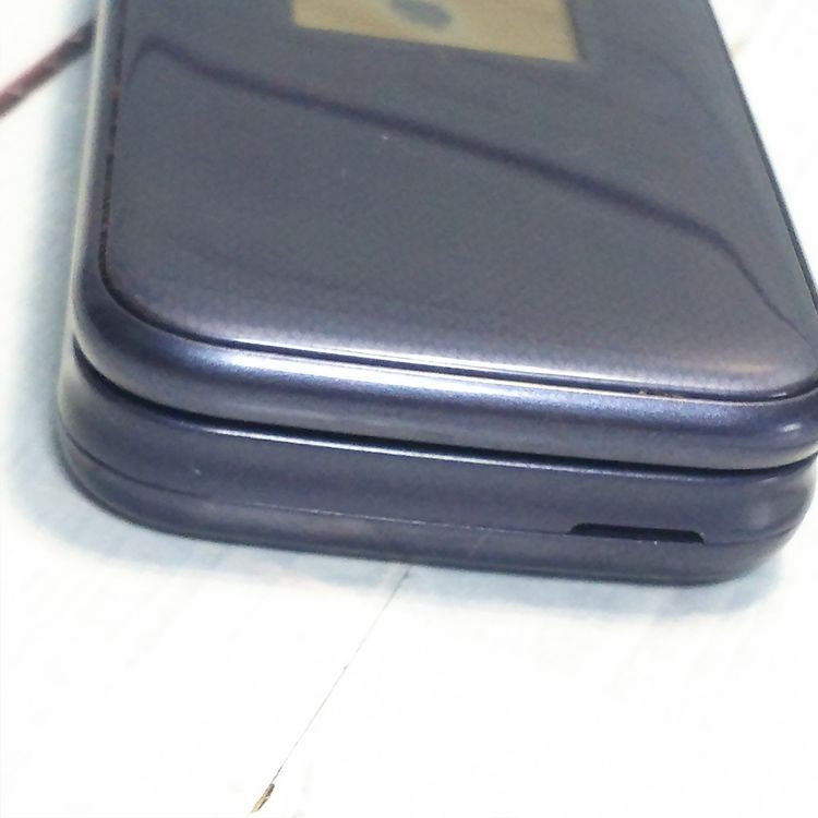 docomo �ٻ��� �餯�餯�ۥ� F-01M �ͥ��ӡ�  743