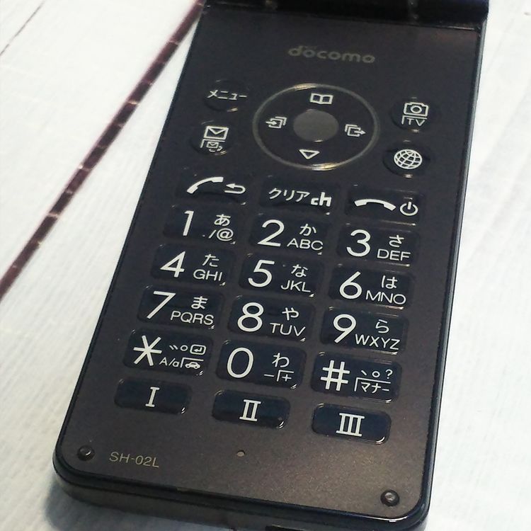 docomo SH-02L AQUOS SHARP �������� �֥�å�  261