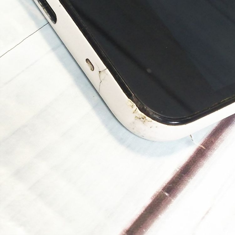 SHARP Softbank AQUOS sense basic 702SH �ۥ磻��  947