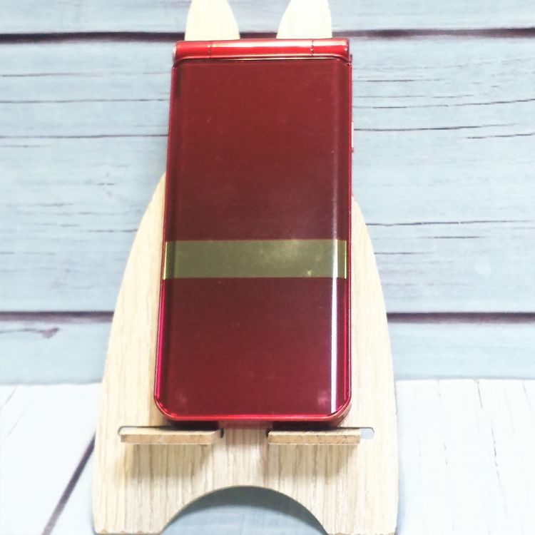 docomo ARROWS �������� F-05G��å� �ٻ���  420