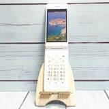 PANASONIC docomo P-smart ケータイ P-01J ホワイト 546