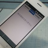 SoftBank ������ DIGNO�������� 501KC �ۥ磻��  499