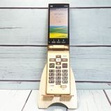 au ������ ���󤿤󥱡����� KYF38 �����ѥ󥴡����  107