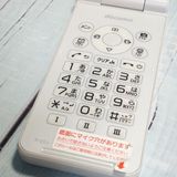 PANASONIC docomo P-smart �������� P-01J �ۥ磻��  295