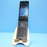 docomo SH-02L AQUOS SHARP �������� �֥�å�  294