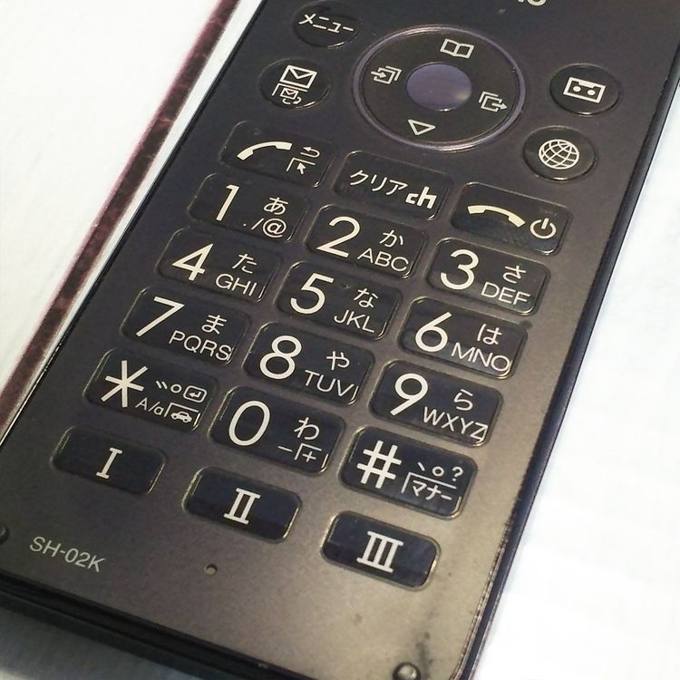 docomo SHARP �����쥹�������� SH-02K �֥롼�֥�å� �ͥ��ӡ�  510