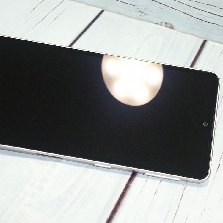 docomo AQUOS sense7 SH-53C 饤ȥåѡ   434