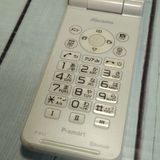 PANASONIC docomo P-smart �������� P-01J �ۥ磻��  253