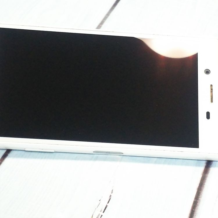 docomo Xperia X Compact SO-02J �ۥ磻��  034