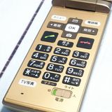 au ������ ���󤿤󥱡����� KYF38 �����ѥ󥴡����  770