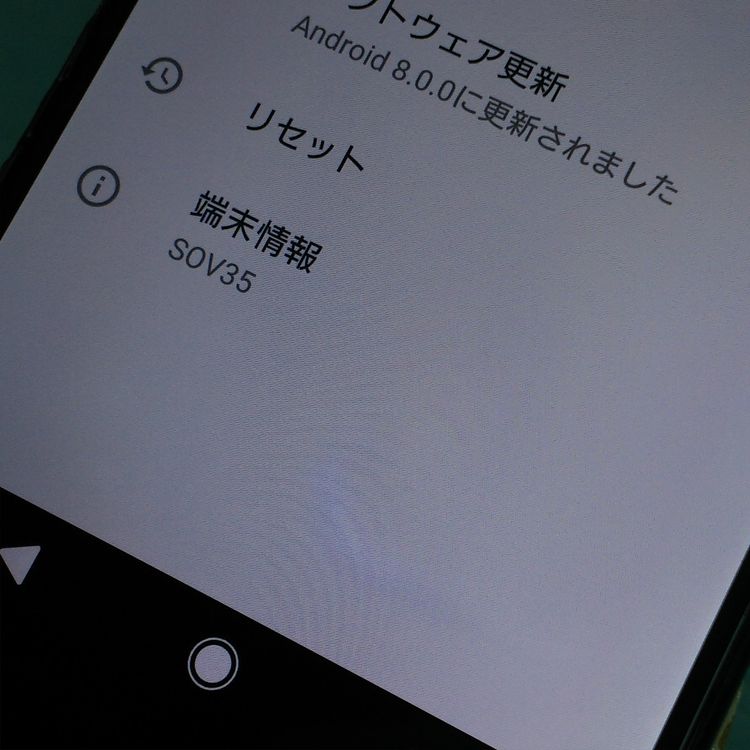 SONY Xperia XZs SOV35 au �֥�å�  213