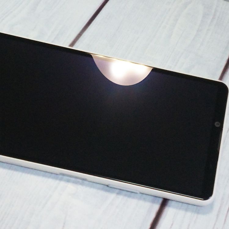 au Xperia 10 III SOG04 �ۥ磻�� SONY  263