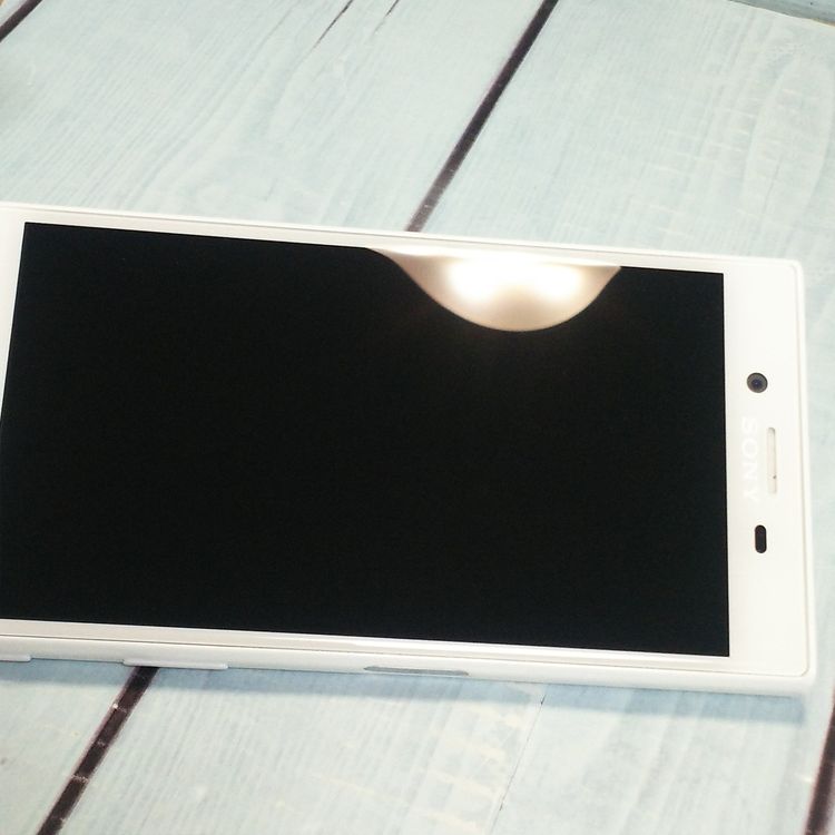 docomo Xperia X Compact SO-02J �ۥ磻��  443