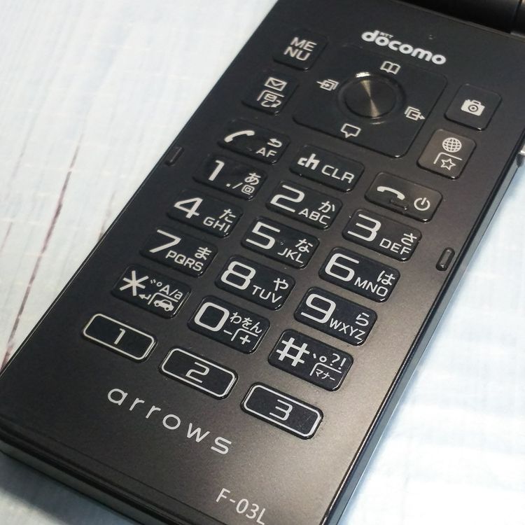 docomo arrows �ٻ��� �������� F-03L �֥�å� [�����] 495
