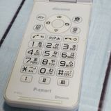PANASONIC docomo P-smart �������� P-01J �ۥ磻��  151