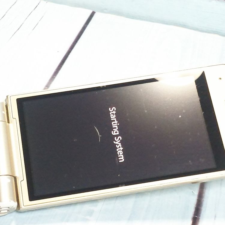 PANASONIC docomo P-smart �������� P-01J �������  619