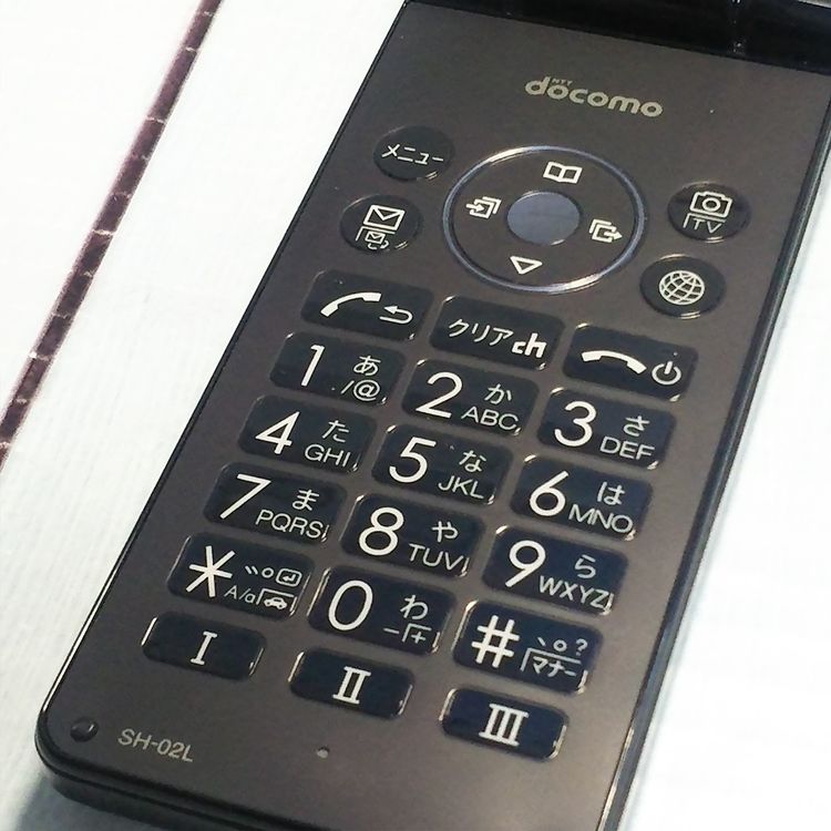 docomo SH-02L AQUOS SHARP �������� �֥�å�  256