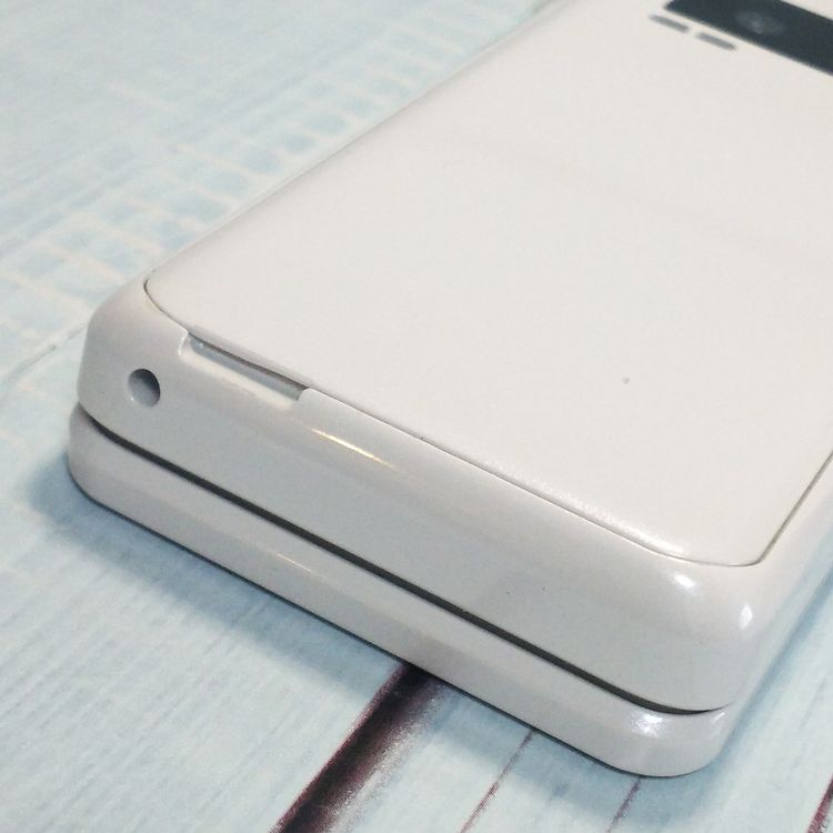 PANASONIC docomo P-smart �������� P-01J �ۥ磻��  384