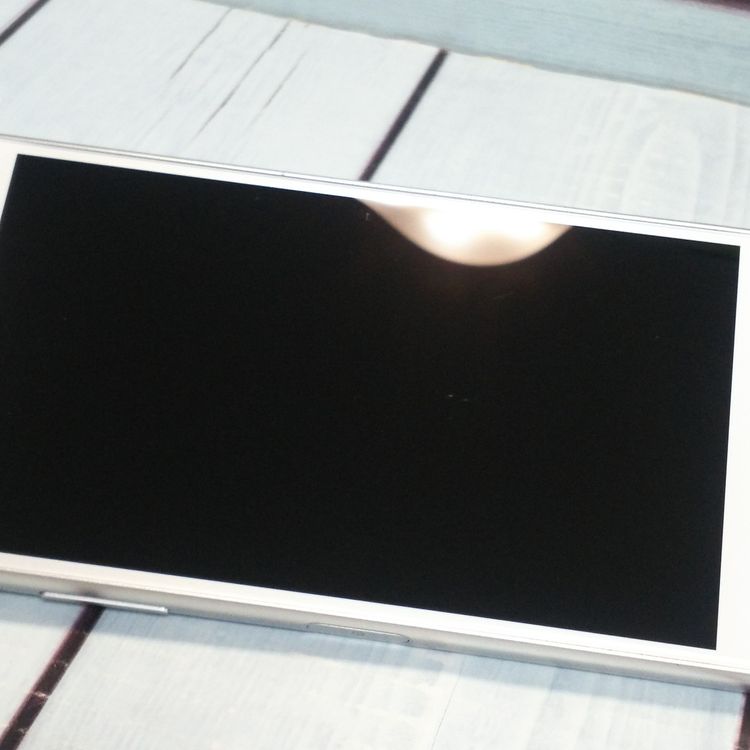 docomo Xperia X Performance SO-04H �ۥ磻�� ����С�  704