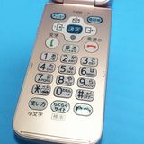docomo �ٻ��� �餯�餯�ۥ� F-01M �ԥ�  013