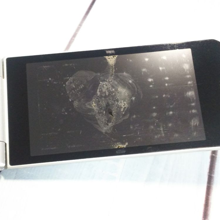 docomo arrows �ٻ��� �������� F-03L ����С� [������]  110