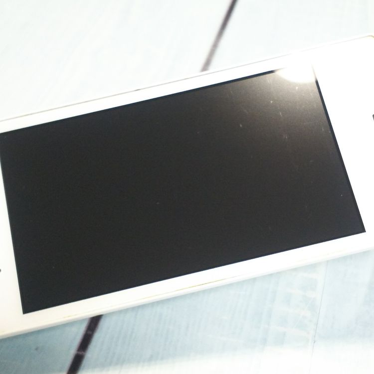 SoftBank ������ DIGNO�������� 501KC �ۥ磻��  242