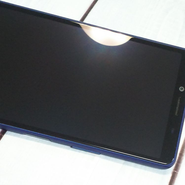 docomo Xperia 10 II SO-41A �֥롼  839
