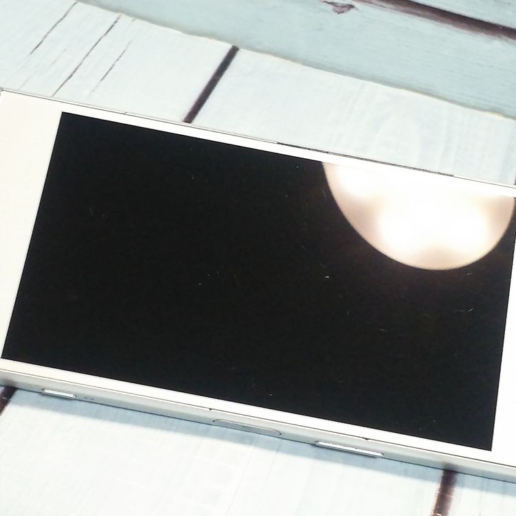 docomo Xperia XZ1 Compact SO-02K white 739