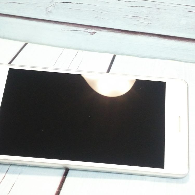 docomo Xperia X Performance SO-04H �ۥ磻�� ����С�  220