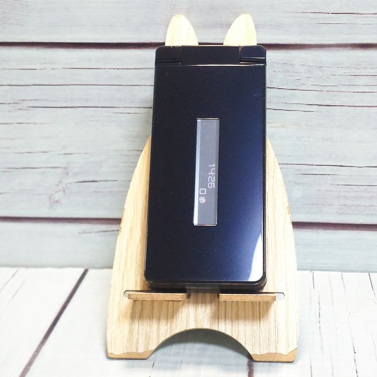 docomo SH-02L AQUOS SHARP �������� �֥�å�  603