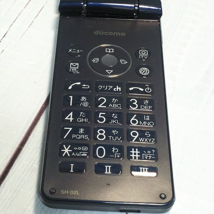 docomo SH-02L AQUOS SHARP �������� �֥�å� [�����] 232