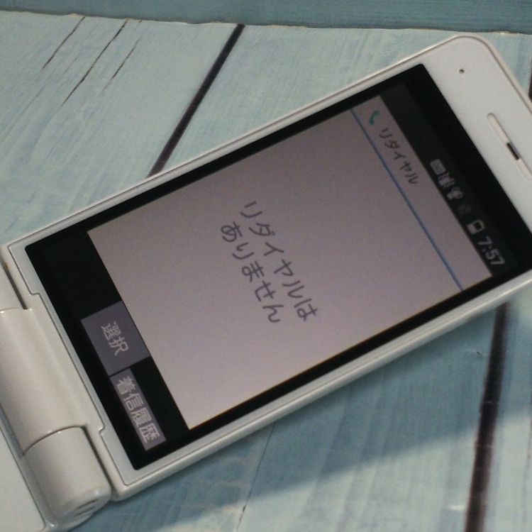 PANASONIC docomo P-smart �������� P-01J �ۥ磻��  295