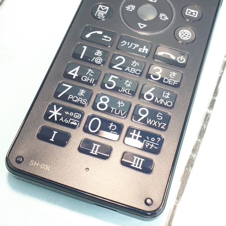 docomo SHARP SH-03L �֥�å� �ӥ��ͥ����� �����쥹��������  317