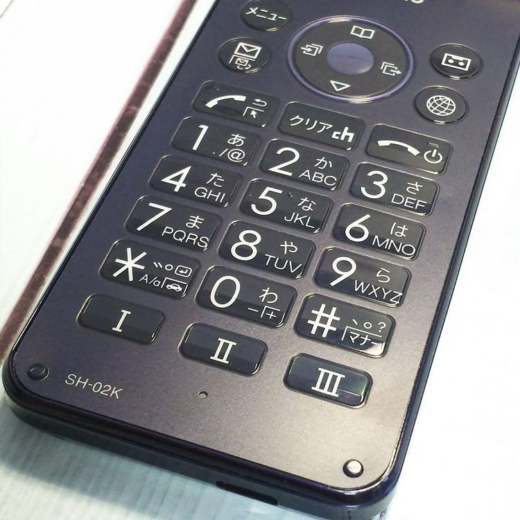 docomo SHARP �����쥹�������� SH-02K �֥롼�֥�å� �ͥ��ӡ�  204